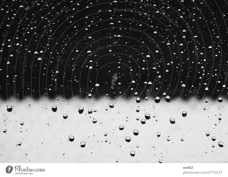wavelength Physics Natural science Drops of water Winter Snow Window Window pane Glass Water Hang Small Near Wet Many Sadness Concern Grief Stick Wavy line