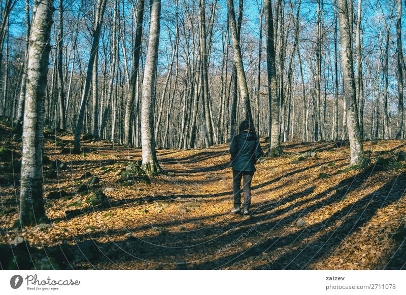 A girl hiking through the shadows of the trees in an autumnal forest Beautiful Relaxation Meditation Vacation & Travel Tourism Trip Adventure Hiking Human being