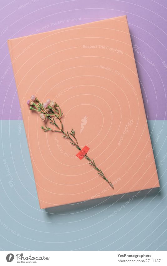 Pink notebook and a single flower on a bicolored background. Lifestyle Desk Feasts & Celebrations Valentine's Day Mother's Day Wedding Office Flower Love