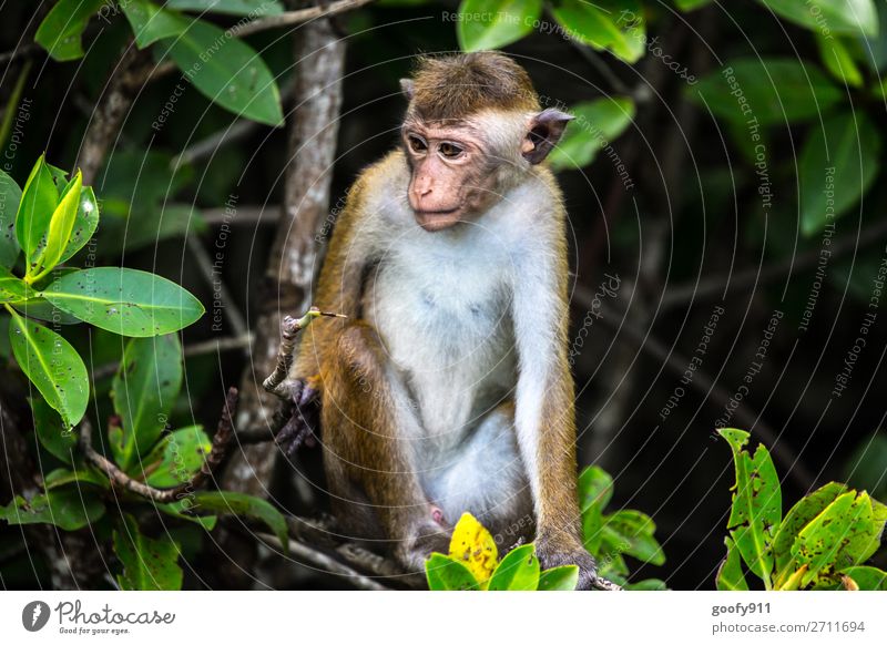 Where's the weekend...???? Vacation & Travel Tourism Trip Adventure Far-off places Freedom Safari Expedition Environment Nature Landscape Tree Bushes