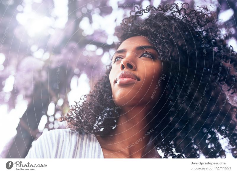 Thoughtful young black woman sitting surrounded by flowers Woman Blossom Spring Lilac Portrait photograph multiethnic Black African Mixed race ethnicity