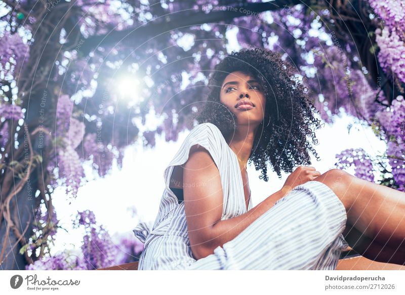 Young black woman sitting surrounded by flowers Woman Blossom Spring Lilac Portrait photograph multiethnic Black African Mixed race ethnicity Smiling