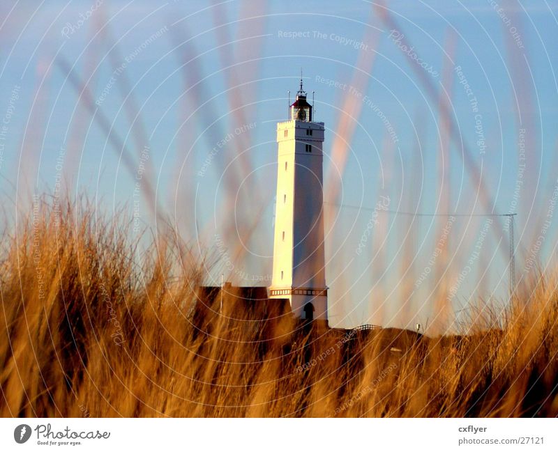 Lighthouse in the dunes Beach Grass Architecture Beach dune Sun