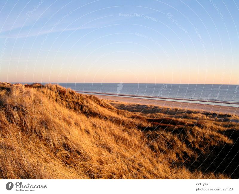 View auf´s Sea Beach Grass Ocean Beach dune Sky Blue Water