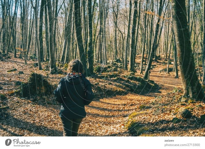 A young woman from behind walking in an autumn forest. Beautiful Relaxation Meditation Vacation & Travel Tourism Adventure Hiking Human being Woman Adults