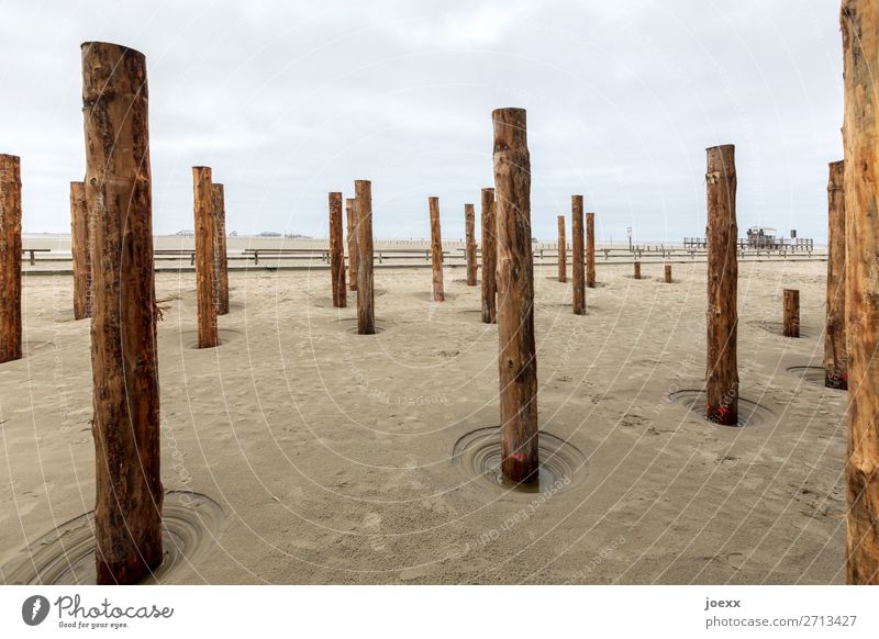 full post Wood Brown Gray Pole Wooden stake St. Peter-Ording Beach Colour photo Subdued colour Deserted Day Deep depth of field
