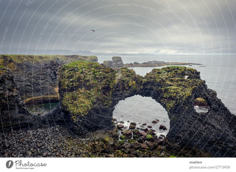 gate Nature Landscape Plant Sky Clouds Horizon Spring Bad weather Wind Rain Moss Rock Coast Beach Ocean Dark Gigantic Blue Brown Gray Green Archway Iceland