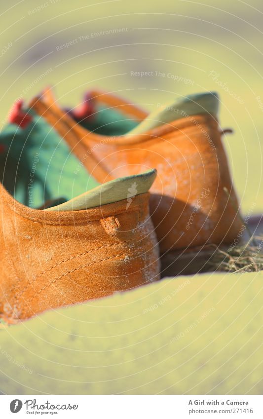 Hiddensee l these boots ... Fashion Clothing Accessory Footwear Orange Comfortable Green Sand Leather shoes Buckskin Subdued colour Exterior shot Close-up