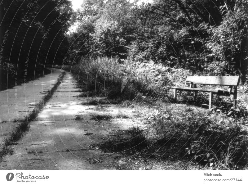 Time times way Light Park Black White Forest Lanes & trails Bench paved path
