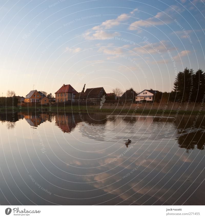 By the carp pond, my heart is filled with emptiness, not mind Nature Landscape Water Sky Clouds spring Beautiful weather Pond Franconia Village Wild animal Duck