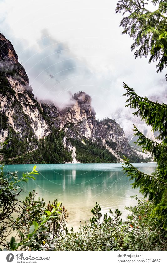 Bad weather at Lago di Braies/Pragser Wildsee Vacation & Travel Tourism Trip Adventure Far-off places Freedom Mountain Hiking Environment Nature Landscape Plant