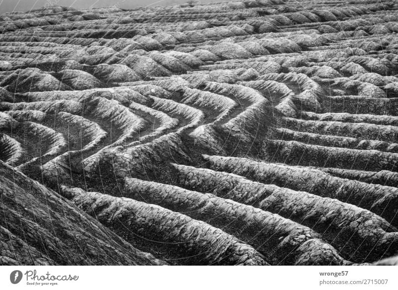 Mining Landscape II Environment Old Dirty Dark Gray Black Slagheap Refuse tip Structures and shapes Black & white photo Landscape format Exterior shot Close-up