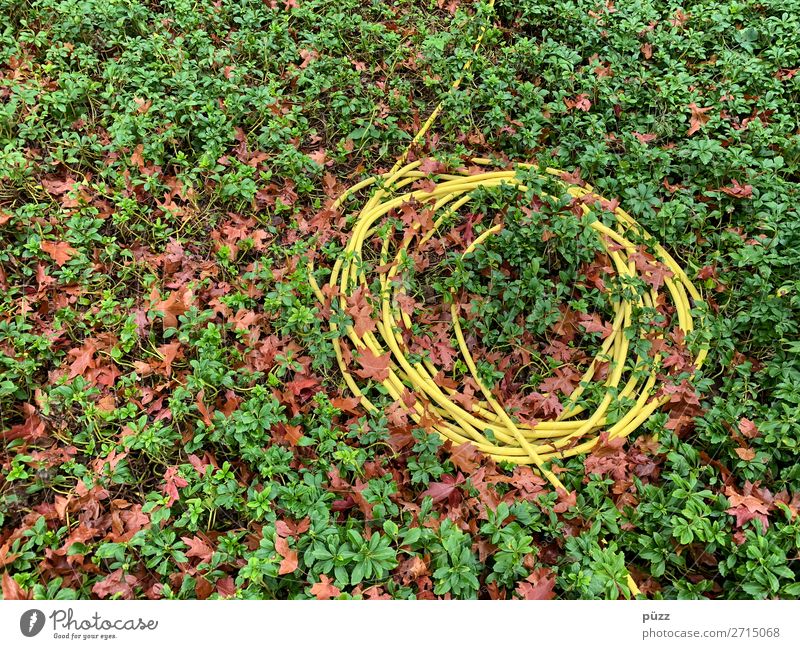 Long line Environment Nature Plant Earth Water Leaf Foliage plant Ground cover plant Garden Park Sign Line Knot Yellow Green Hose Gardener Market garden