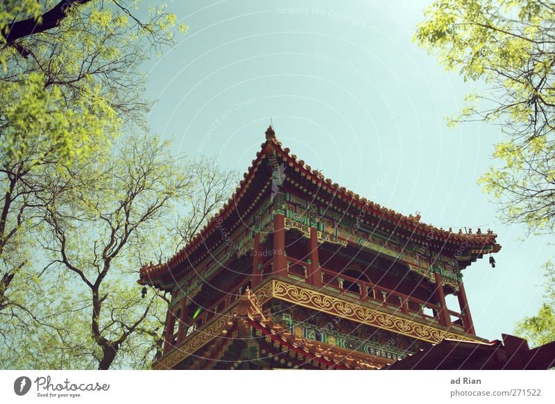 Lama Temple Spring Plant Tree Park Meadow Beijing China Deserted Palace Castle Pagoda Pagodal roof Temple tower Lama temple Old Authentic Religion and faith