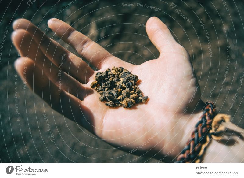 Close-up of some volcanic soil held by a human hand with a bracelet Vacation & Travel Adventure Hiking Human being Hand Fingers Nature Earth Stone Small Natural