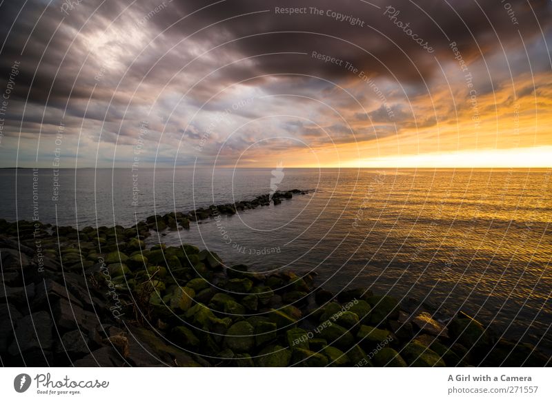 Hiddensee l I just want to hold you in my arms Nature Landscape Elements Sky Clouds Storm clouds Horizon Sun Sunrise Sunset Spring Summer Weather