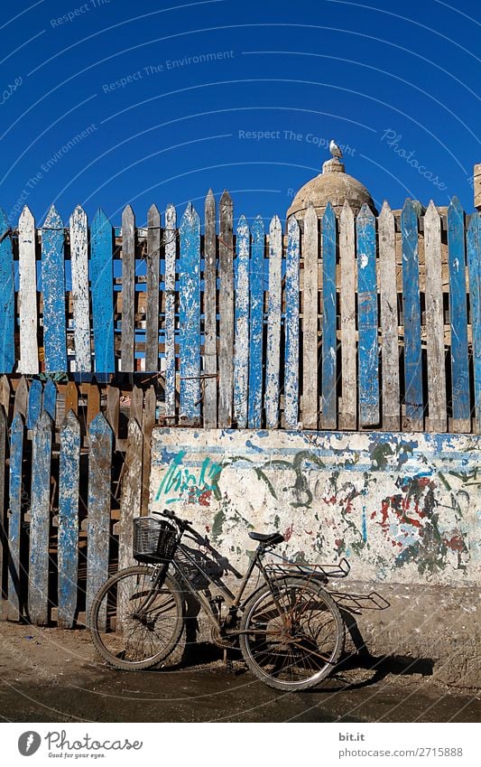 Old bicycle, in the port of Essaouira in Morocco, Africa. Vacation & Travel Tourism Trip Adventure Far-off places Freedom Summer Bicycle Stand Poverty Chaos