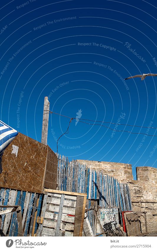 Old wooden wall in the harbour of Essaouira, in Morocco, Africa. Redecorate Craftsperson Craft (trade) Construction site Architecture Sky Wall (barrier)