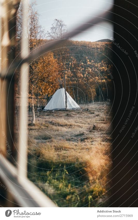 View to tent in forest Tent Forest Autumn Window Action Nature Park Lifestyle Landscape Tourism Vacation & Travel Hiking Adventure Seasons Leisure and hobbies