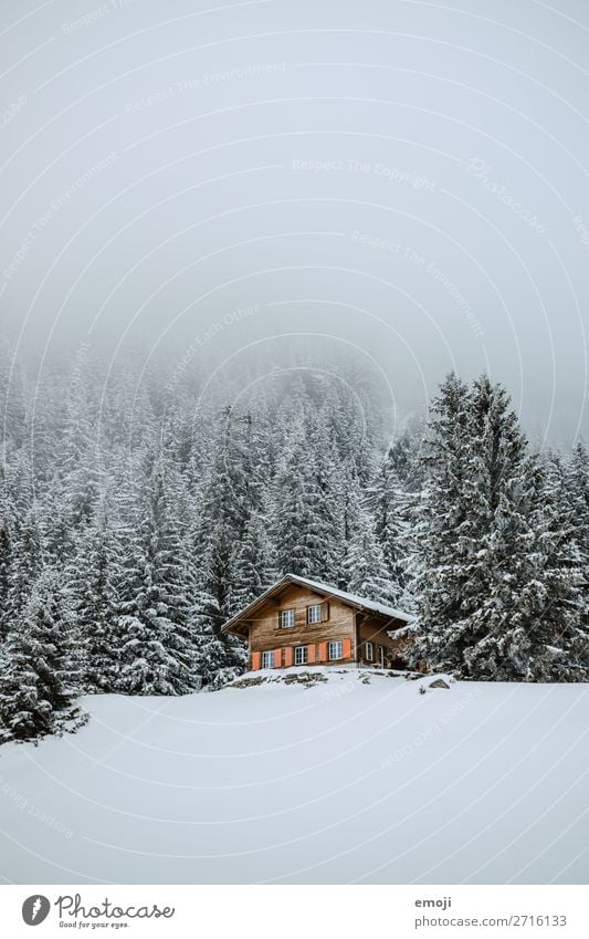 Arnisee XII Environment Nature Landscape Winter Fog Snow Tree Forest Hill Mountain House (Residential Structure) Exceptional Cold White Vacation home