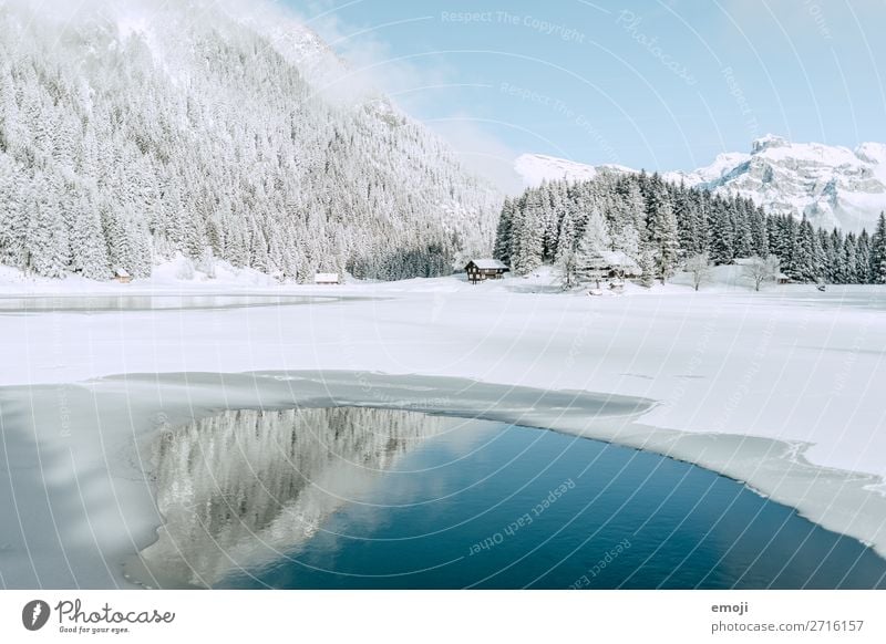 Arnisee X Calm Tourism Trip Winter Snow Winter vacation Mountain Environment Nature Landscape Water Beautiful weather Tree Lake Exceptional Natural Blue White