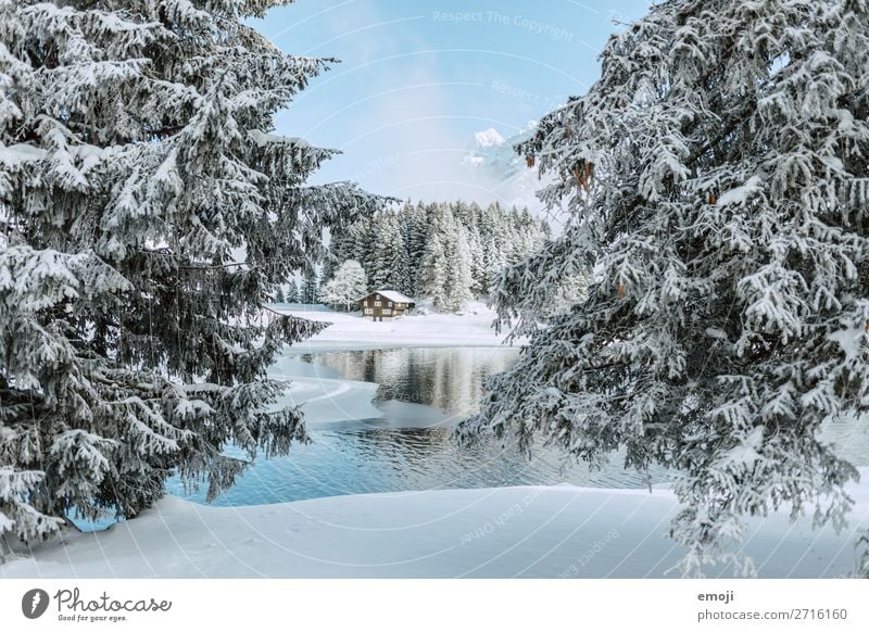 Arnisee I Environment Nature Landscape Winter Beautiful weather Snow Tree Mountain Lake Exceptional Natural Blue White Tourism Calm Mountain lake Lake Arnis