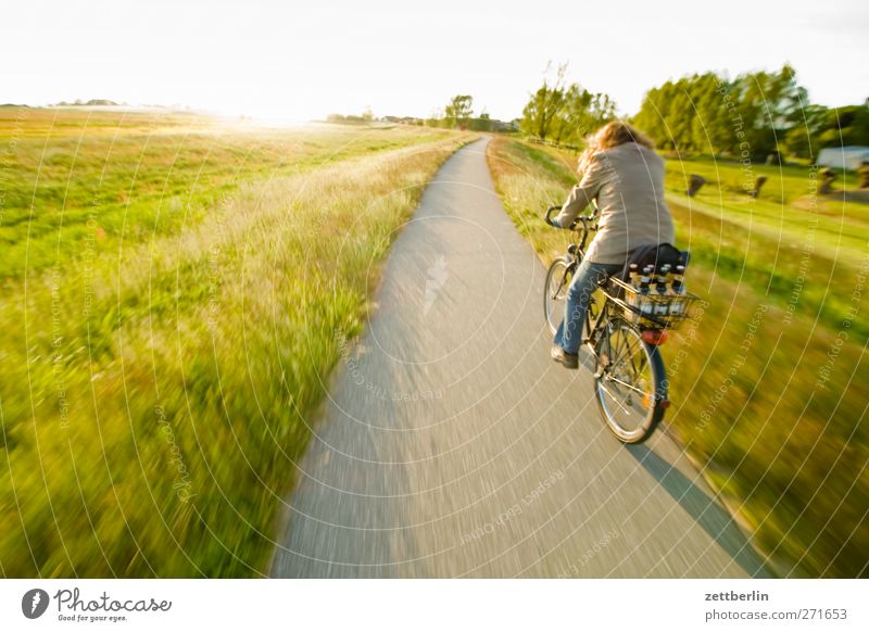 journey home Leisure and hobbies Trip Far-off places Cycling tour Summer Woman Adults Back Environment Nature Landscape Sky Horizon Meadow Baltic Sea Optimism