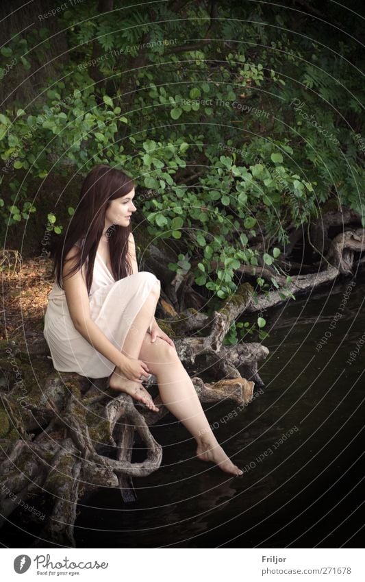 enjoyment of the forest Human being Feminine Young woman Youth (Young adults) 1 18 - 30 years Adults Dress Brunette Long-haired Sit Colour photo Exterior shot