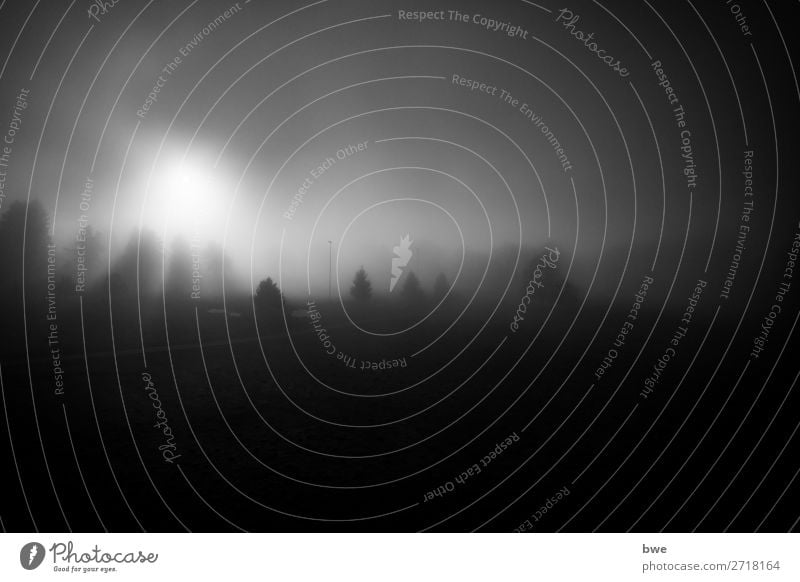 Dark and foggy Fog Forest Discover Threat Cool (slang) Creepy Emotions Watchfulness Sadness Concern Grief Reluctance Pain Loneliness Shame Inhibition Fear