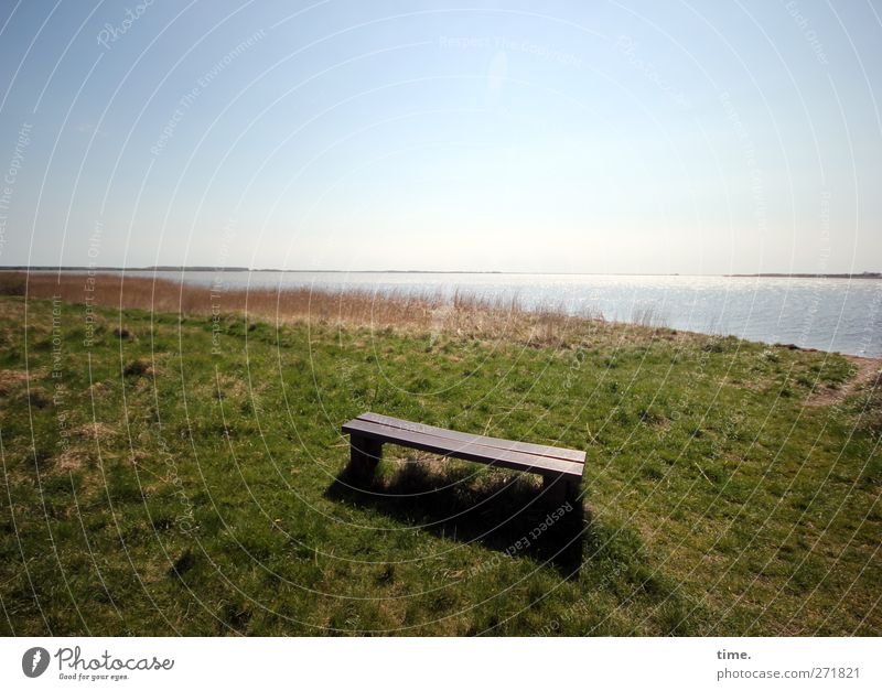 Hiddensee, there's always a place for you. Environment Nature Landscape Sky Horizon Grass Meadow Coast Seating Bench Moody Contentment Trust Secrecy Wisdom
