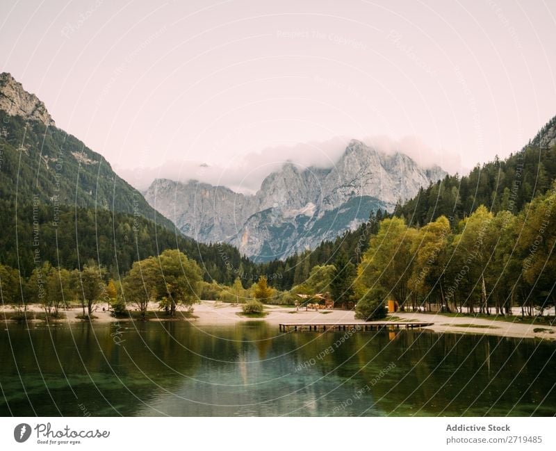 Lake with trees on banks and mountains Mountain Landscape coniferous Idyll Reflection Evergreen Calm Mirror Pine Water Tree Natural Reservoir tranquil