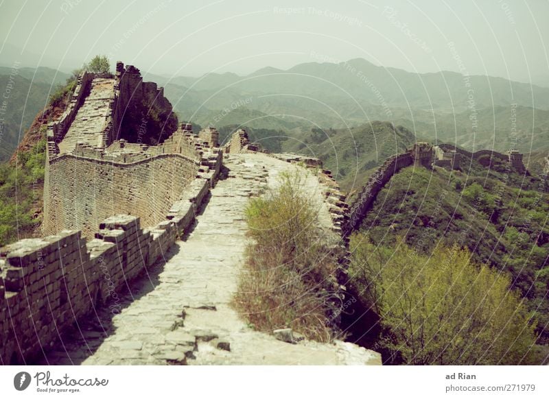 The Great Wall Landscape Cloudless sky Spring Beautiful weather Plant Tree Grass Bushes Forest Hill Rock China Deserted Ruin Tower Hunting Blind