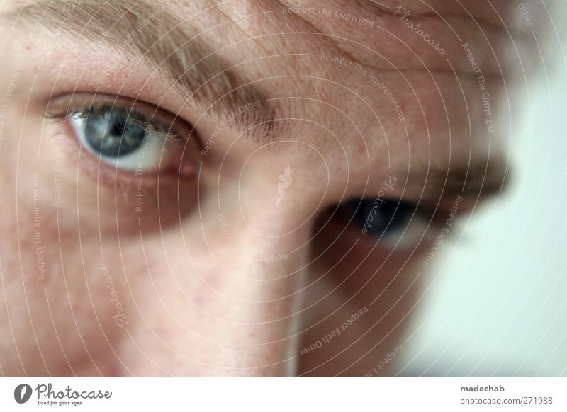 portrait young man eye contact Human being Masculine Man Adults Head Face Eyes Observe Trust Curiosity Looking Colour photo Interior shot Shallow depth of field