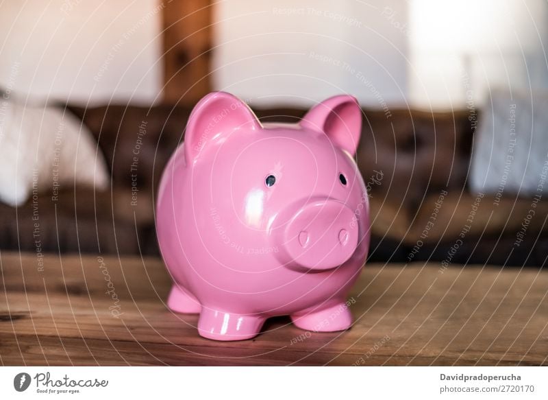 Pink saving piggy bank Money box savings Deposit investment fund earnings Economy Credit loan Financial Industry investing Safety (feeling of) Crisis Budget