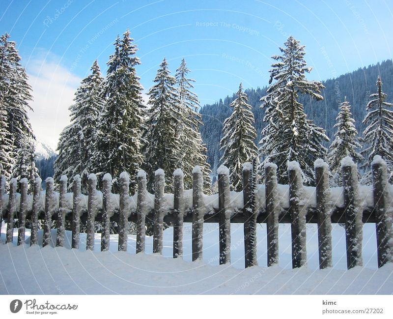 winter magic Fence Winter Fir tree Tree Switzerland Cold Snowscape Mountain Sky