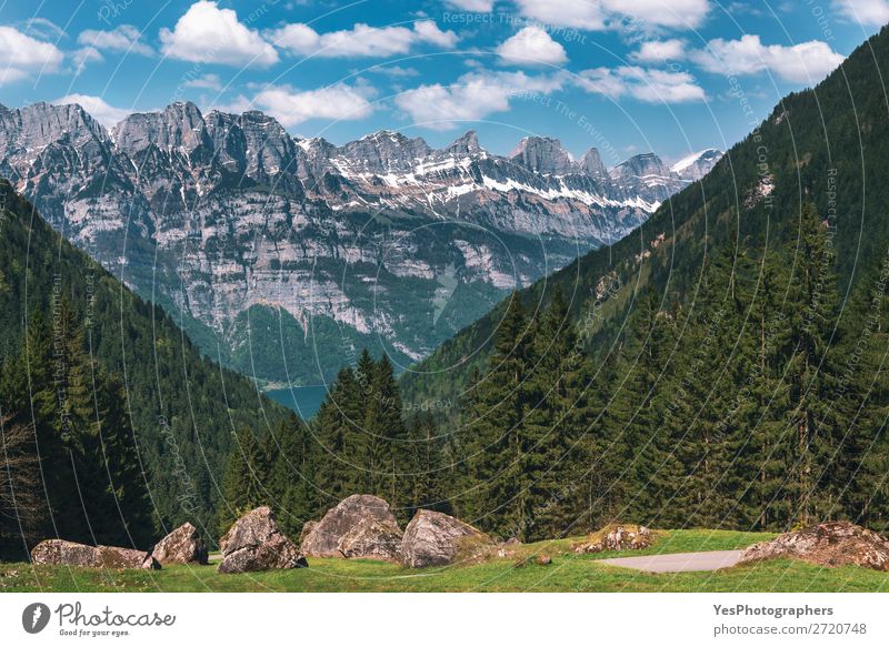 Mountain peaks with green forest and rocks in Swiss Alps Calm Summer Nature Landscape Beautiful weather Forest Peak Green Idyll Switzerland Alley Alpine