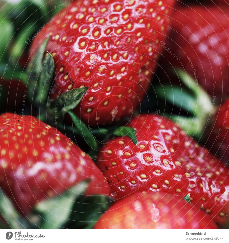 summer snack Food Fruit Nutrition Organic produce Nature Feeding Illuminate Strawberry Snack Summer Healthy Fresh Delicious Red Green Juicy Fruity Colour photo
