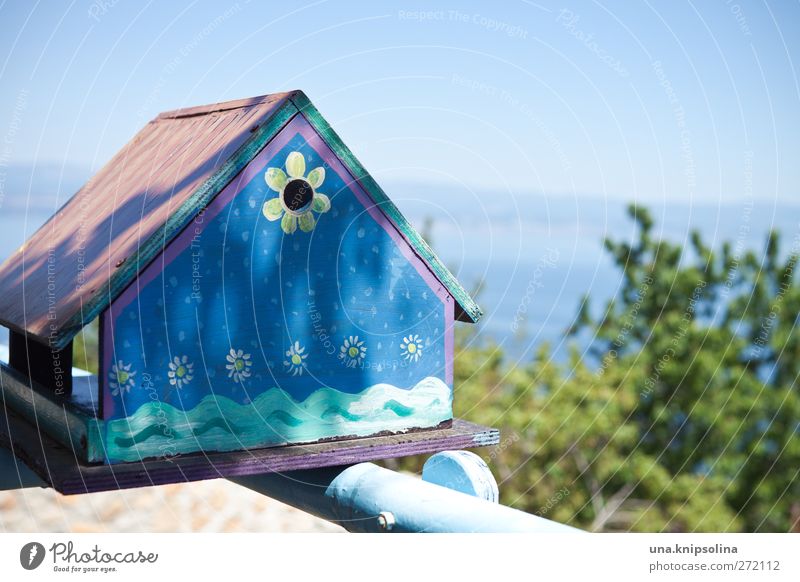holiday home with sea view Design Vacation & Travel Summer Ocean House (Residential Structure) Bird Wood Ornament Sharp-edged Happiness Small Idyll Nature