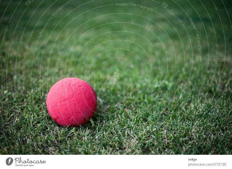 playground Leisure and hobbies Playing Children's game Ball Grass Deserted Lie Simple Round Green Red Vignetting Foam rubber Colour photo Exterior shot Close-up