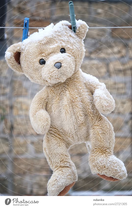old teddy bear hanging on a clothesline Joy Winter Snow Child Toys Teddy bear Line Old Playing Fresh Cute Retro Clean Brown White Loneliness Bear Washing wash