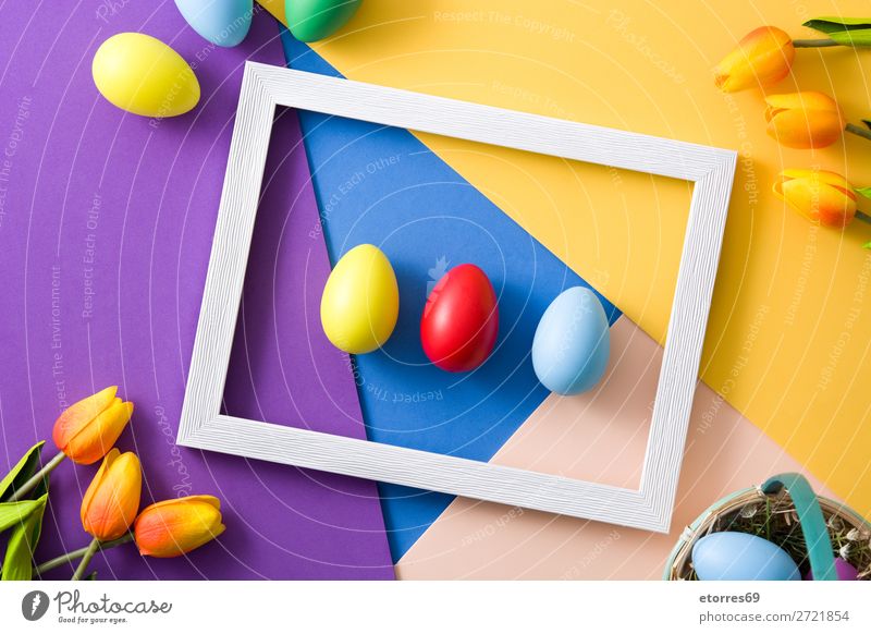 Easter concept.wooden frame with easter eggs and tulips Egg Neutral Background Background picture Vacation & Travel Feasts & Celebrations Public Holiday Spring