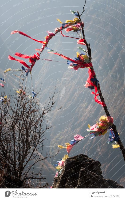 summit tower Environment Nature Landscape Plant Elements Beautiful weather Tree Rock Mountain Peak Canyon China Yunnan Asia Flag Flagpole Exceptional