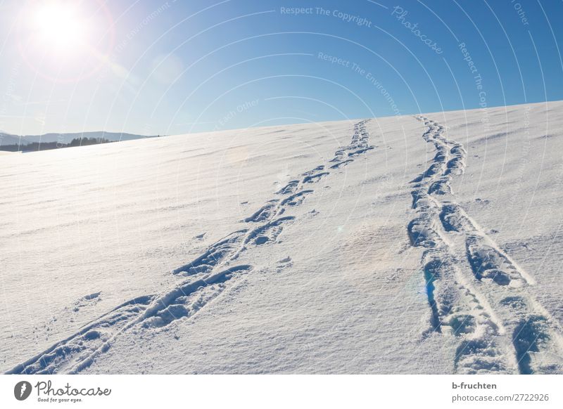 Tracks in the snow Life Leisure and hobbies Vacation & Travel Winter Snow Winter vacation Mountain Hiking Nature Going Athletic Blue Lanes & trails Footprint