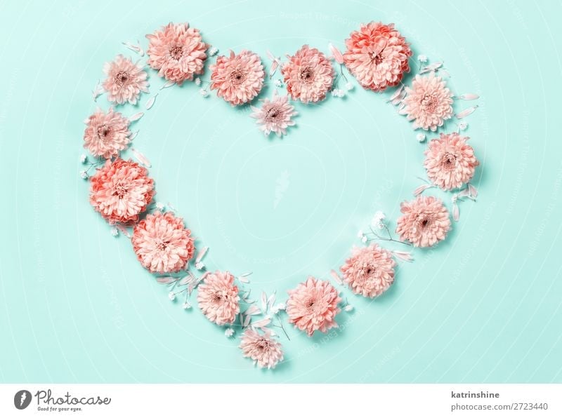 Heart symbol made of coral flowers Design Decoration Wedding Woman Adults Mother Art Flower Above Pink Creativity background Card composition Conceptual design
