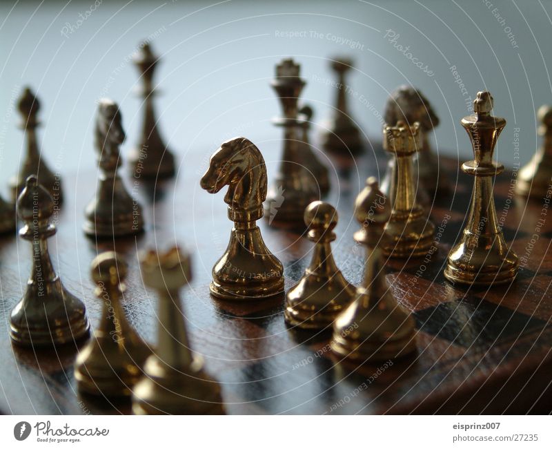 chess Chessboard / game Chess piece