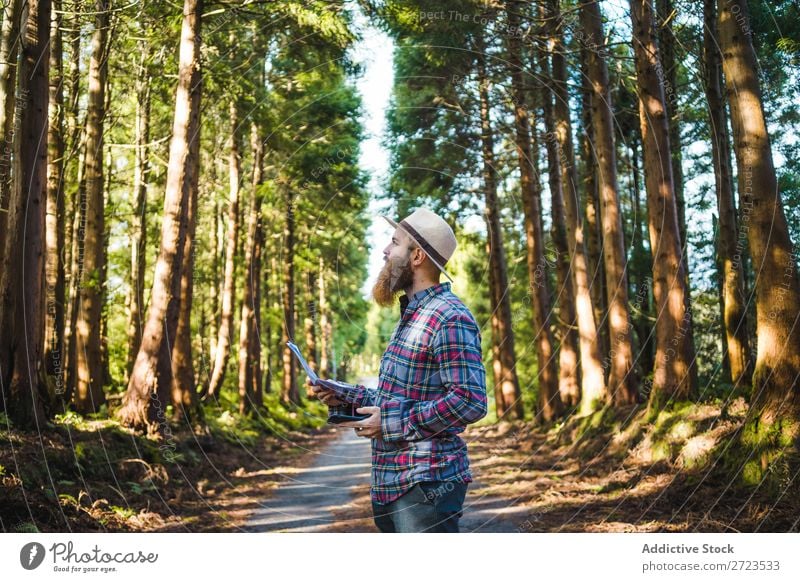 Man navigating on road in woods Tourist Nature Navigation PDA Sunbeam Street using browsing bearded Forest Green Vacation & Travel Adventure Landscape Hiking