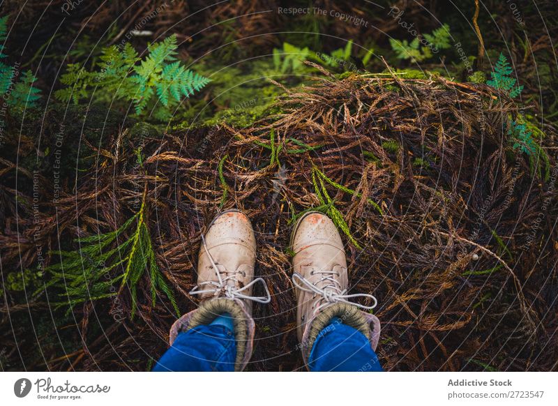 close-up of some boots in the woods Crops Forest Autumn Human being Nature Legs Footwear Close-up Partially visible Park Leaf Exterior shot Feet Boots