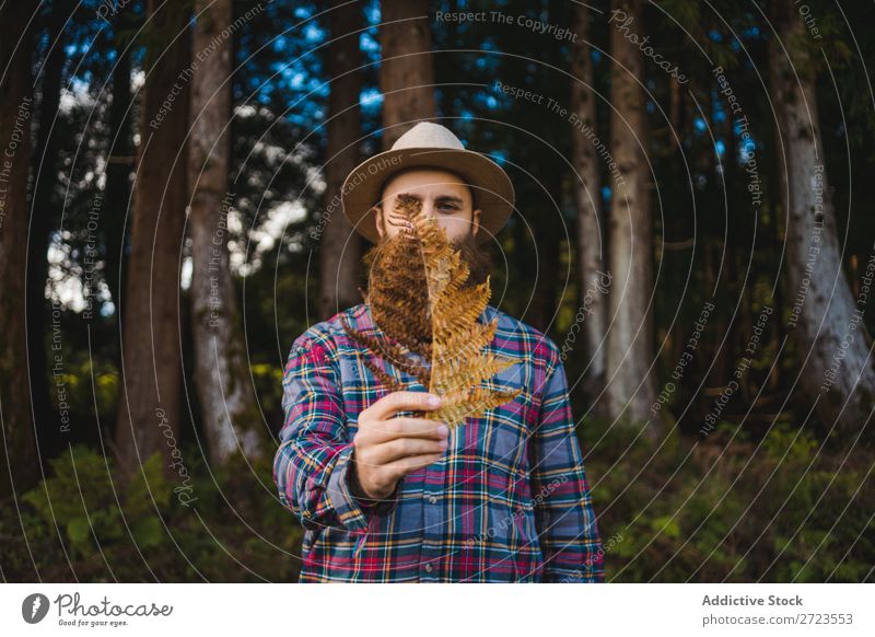 Man with brown leaf in beard Tourist Nature bearded Leaf Brown Conceptual design Hat Forest Green Vacation & Travel Adventure Landscape Azores Hiking