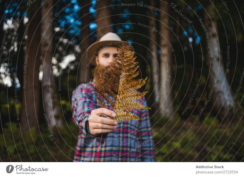 Man with brown leaf in beard Tourist Nature bearded Leaf Brown Conceptual design Hat Forest Green Vacation & Travel Adventure Landscape Azores Hiking