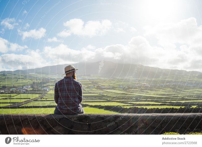 Aerial view to green fields Field Green Vantage point Nature Meadow Grass Landscape Rural Summer Plant Azores Spring Lawn Landing Environment Seasons Farm